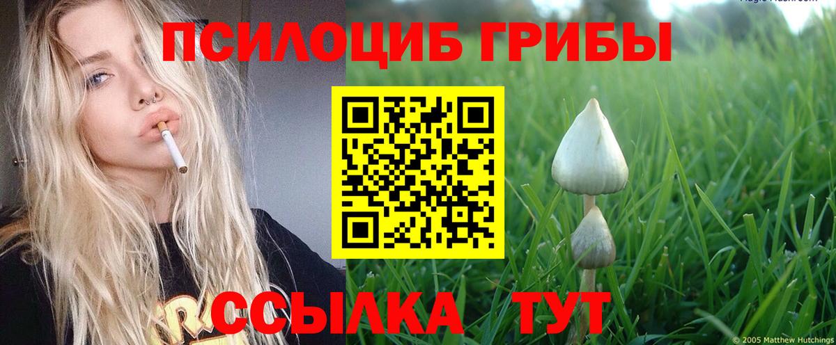 Галлюциногенные грибы Magic Shrooms Севастополь